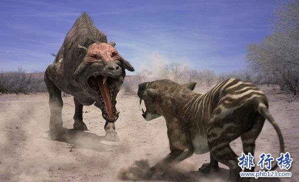 上古时期最凶猛的动物：巨猪，利齿可咬碎猎物骨头(体型和野牛一样大)